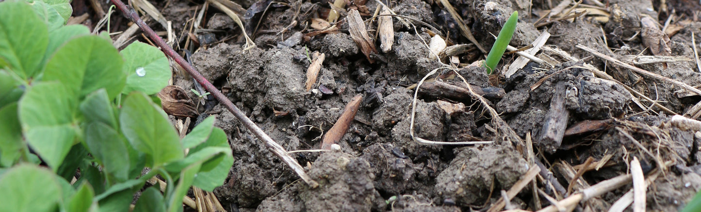 Connaitre le sol de votre jardin