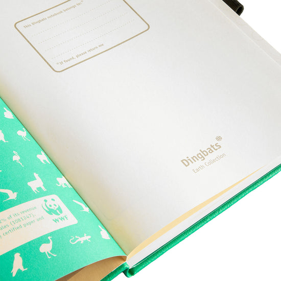 Dingbats Earth A5+ Emerald Eduardo Avaroa Notebook