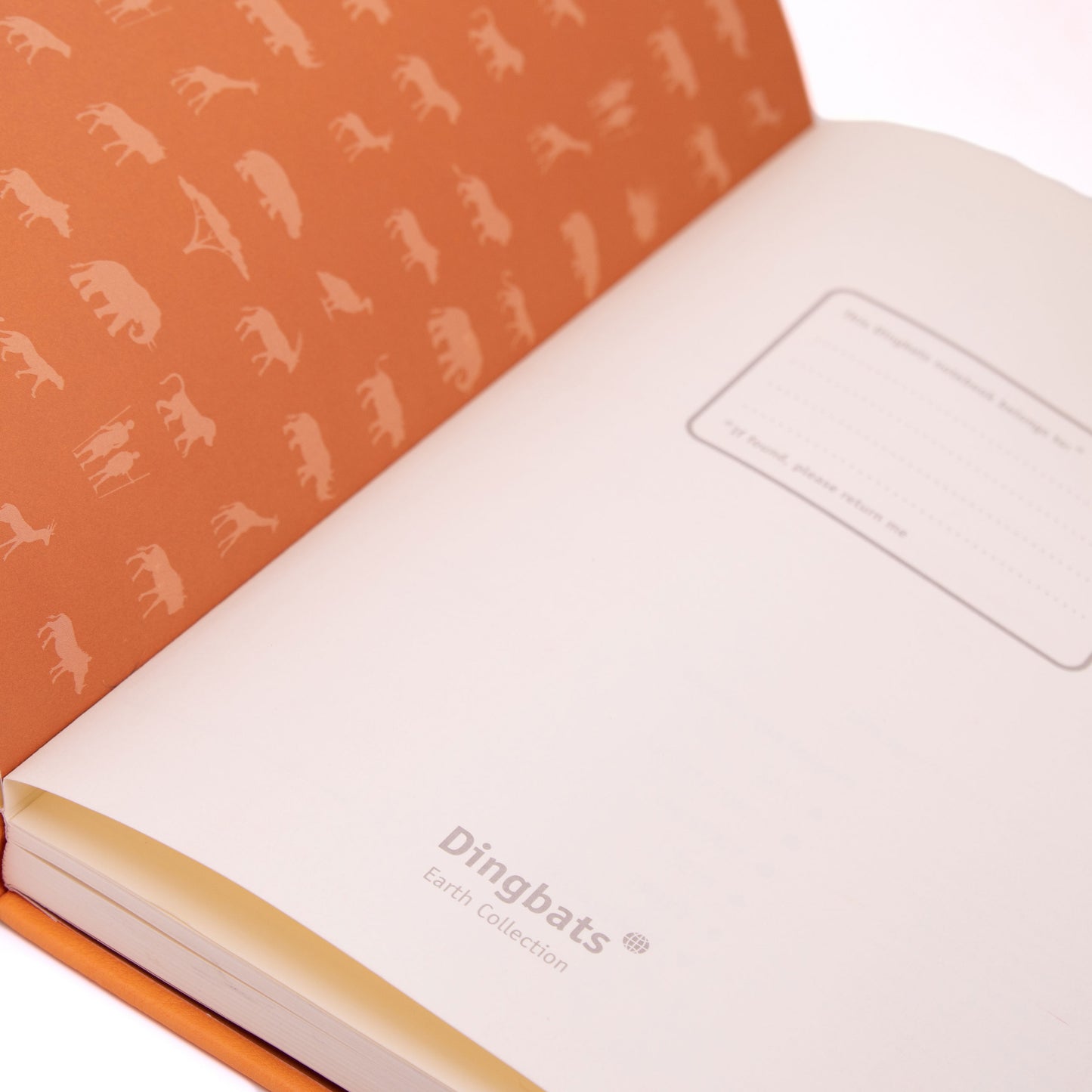 Dingbats Earth A5+ Tangerine Serengeti Notebook