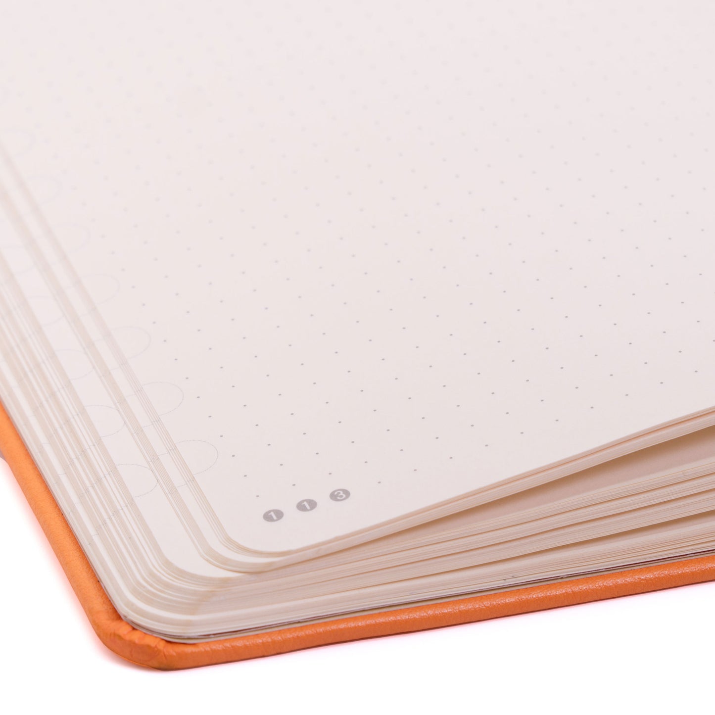 Dingbats Earth A5+ Tangerine Serengeti Notebook